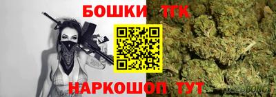 гашик Камышлов