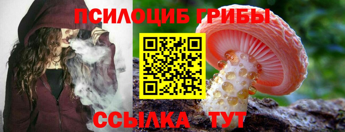 Псилоцибиновые грибы Psilocybine cubensis  Галлюциногенные грибы мицелий  Лангепас  закладки  Вход с VPN 