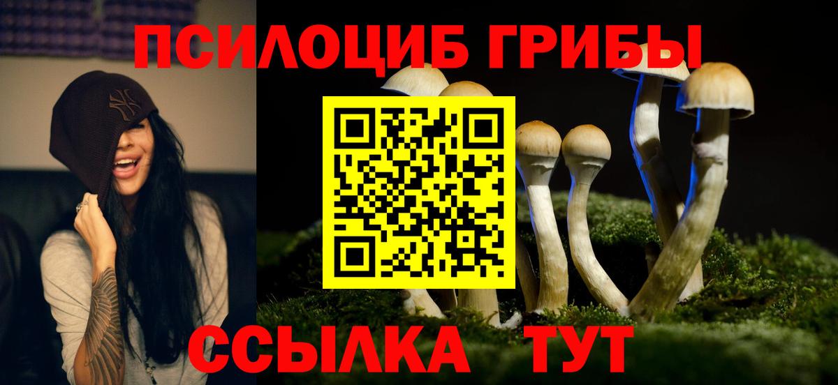Галлюциногенные грибы Cubensis Лангепас